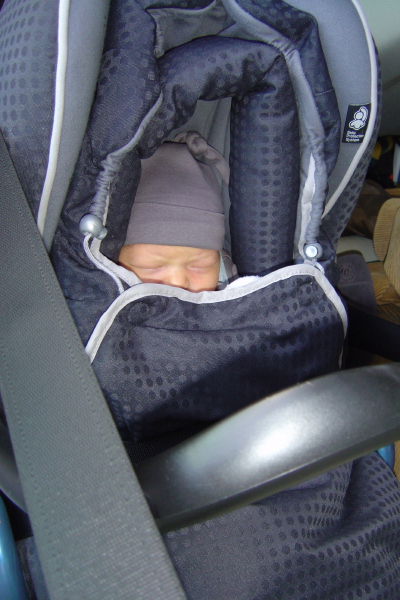 Image 17 of 56  -  49 kB